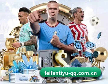 比分查询与赛事提醒 - FEIFAN SPORTS